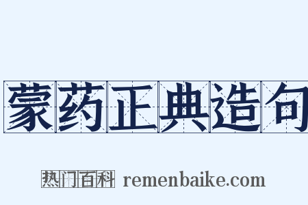 蒙药正典造句是什么意思的图片